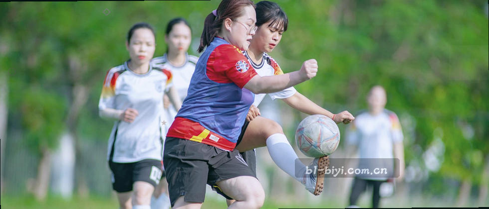 一张盾形数据锁，周围散落零碎个人信息碎片。